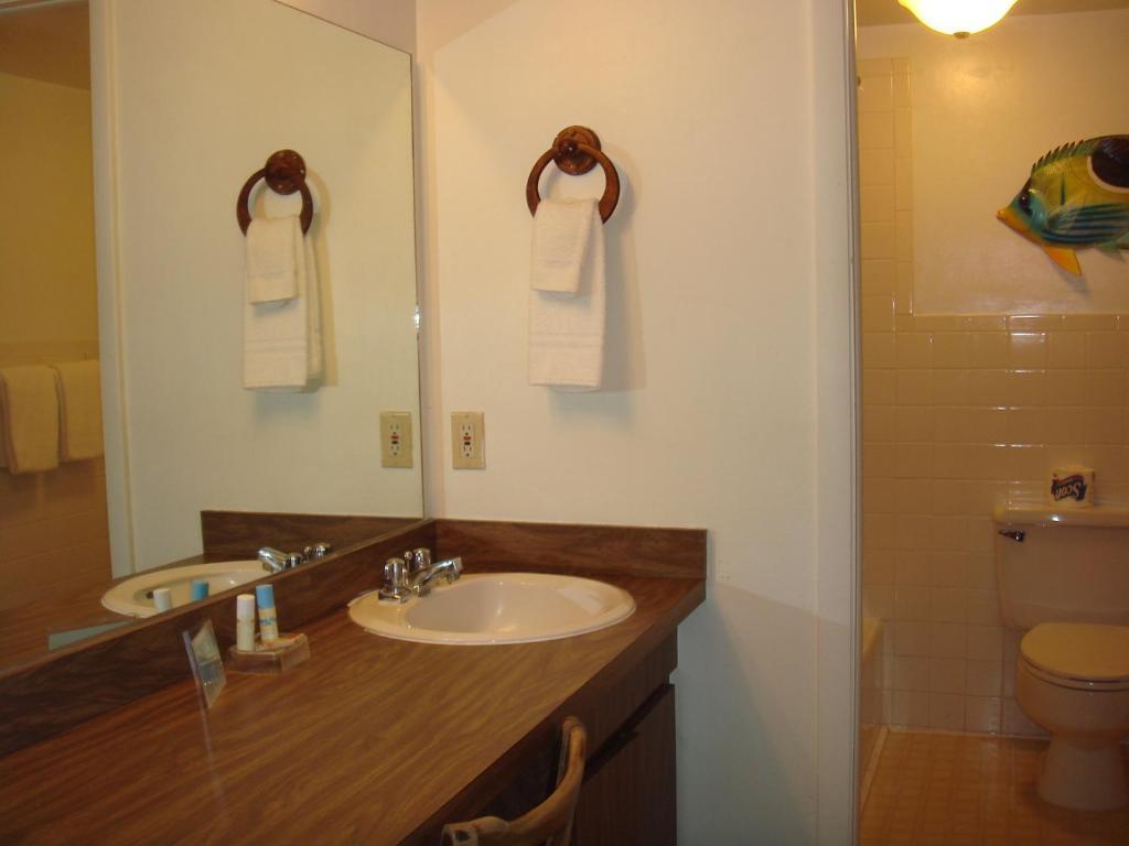 Beach Shell Inn Fort Myers Beach Phòng bức ảnh